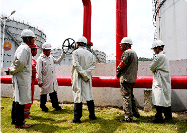 自有施工團(tuán)隊 知名品牌合作 自有施工團(tuán)隊 知名品牌合作