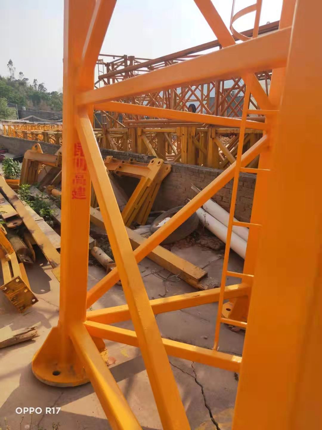 1619752126701836.jpg 黃色.jpg